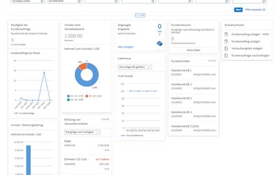 Screenshot einer Grafik, die den SAP Prozess näher beschreibt